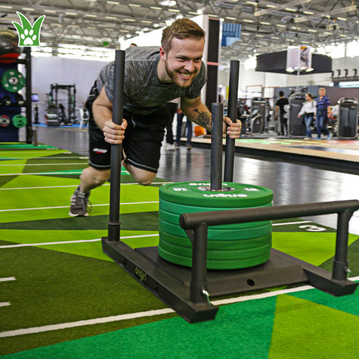 césped para trineo de gimnasio