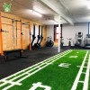 Индивидуальное покрытие из газона для спортивных залов | Тренажерный зал Трава | Фабрика газонов для спортзала