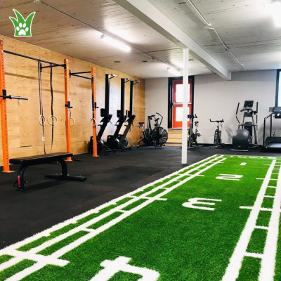 Custom Turf For Crossfit Gym | Turf For Gym Sled | Gym Artificial Turf Supplier