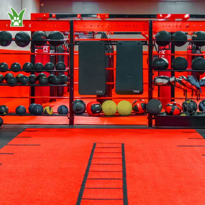 artificial grass for gym