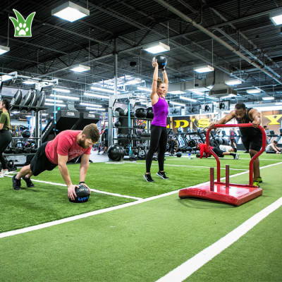 Custom Turf Flooring For Gyms | Gym Grass | Gym Grass Turf Factory