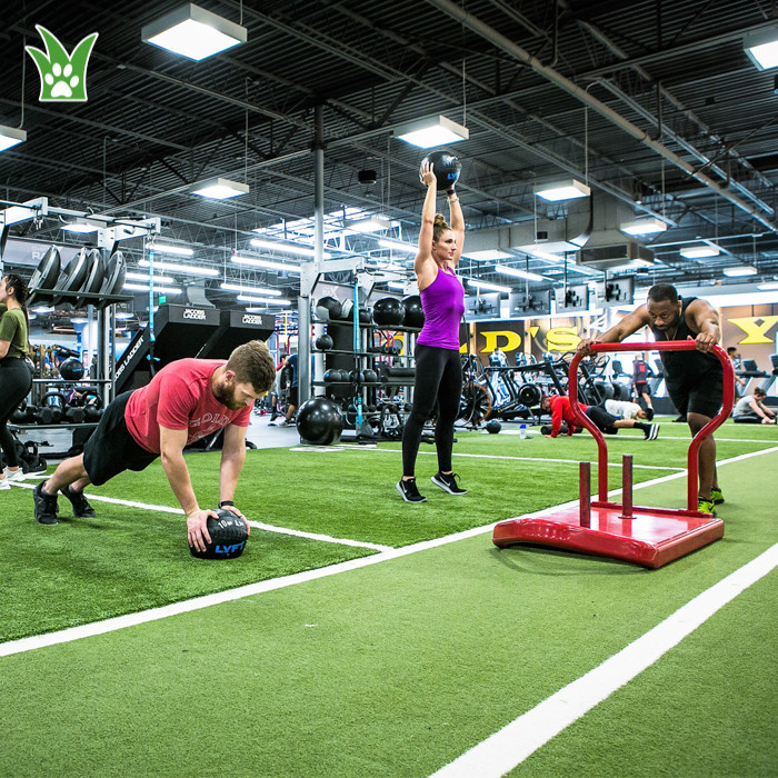 suelos de césped para gimnasio