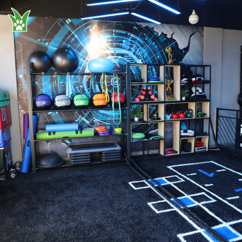 Bespoke Artificial Turf For Gyms | Indoor Gym Turf | Black Turf Gym Manufacturer