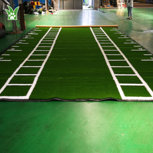 ジム用のオーダーメイドの芝生フローリング |体育館の芝生の床 |ホームジム人工芝サプライヤー