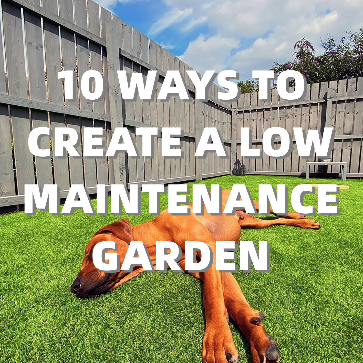 10 maneras de crear un jardín de bajo mantenimiento