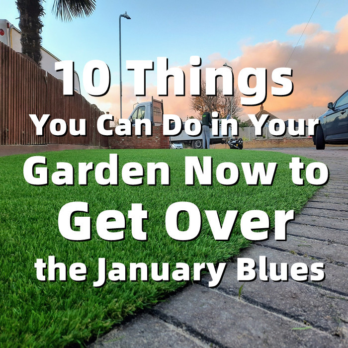 10 cosas que puedes hacer en tu jardín ahora para superar la tristeza de enero