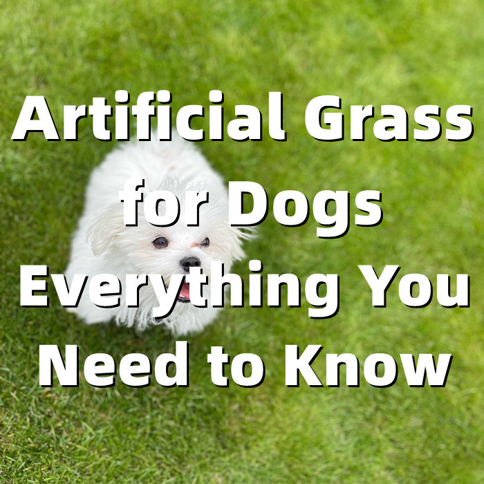 Césped artificial para perros: todo lo que necesitas saber