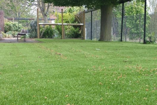 あなたの庭に最適な人工芝の選択肢