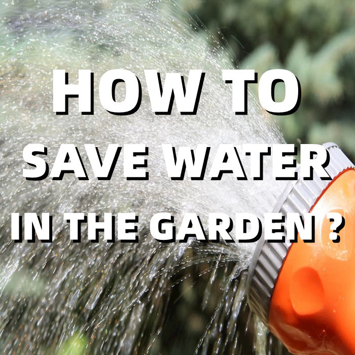 How to Save Water in the Garden