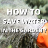 Как экономить воду в саду