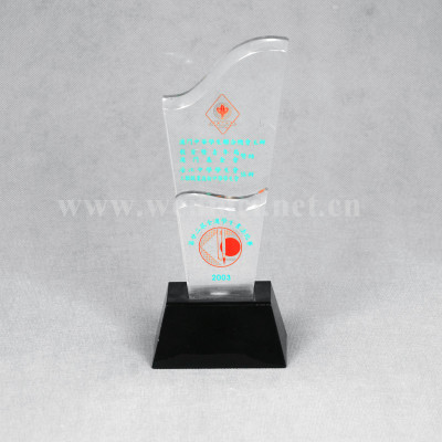 Customized  Acrylic Awards Acrylic Trophy
