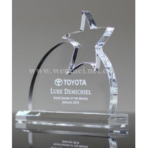 Customized Acrylic Awards Trophy  For European And American Fashion