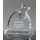 Customized Acrylic Awards Trophy For European And American Fashion