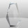 2019 Customized Shape Engraving Acrylic Awards Acrylic Trophy
