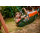 Hot Selling Multi-child Pirate Boat Bucket Basket Baby Bed Family Swing with PE Rope