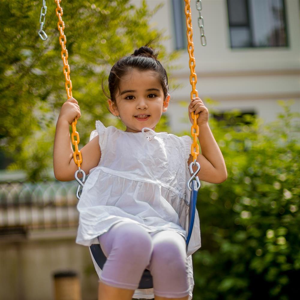 swing seat for tree