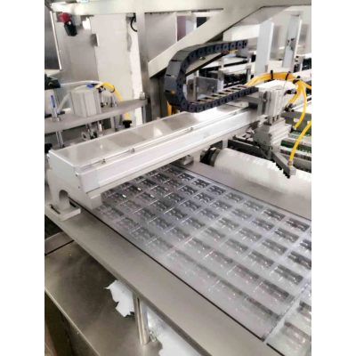 DPP-250P High Efficient Automatic pill syringe Blister Packing Machine