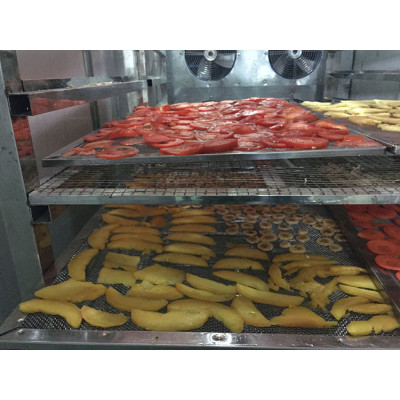 Gold Plus Supplier Trade Assurance Double- Door Sterilization Hot Air Circulating Drying Oven