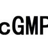 ¿Qué son los CGMP?
