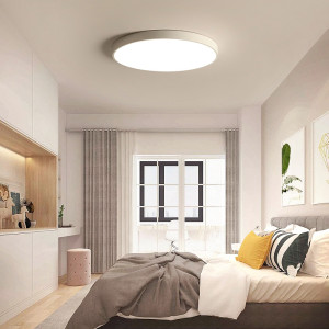 Macaroon ceiling lamp for living room