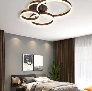 LED Luxury Ceiling light