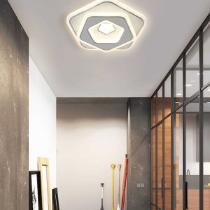 LED Ceiling light