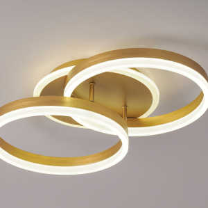 LED Ceiling light /Ceiling light