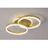 LED Ceiling light /Ceiling light