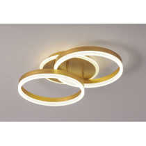 LED Ceiling light /Ceiling light