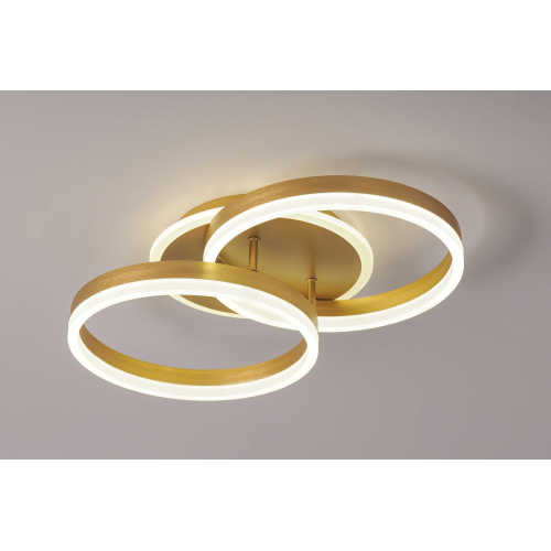 LED Ceiling light /Ceiling light