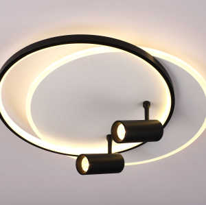 LED Ceiling light /Ceiling light/Bed room light