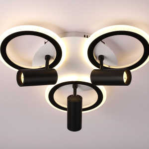 LED Ceiling light /Ceiling light/Bed room light