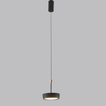 LED Pendant light/ Chandelier /Dining room pendant light