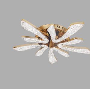 LED Ceiling light /Ceiling light/Bed room light