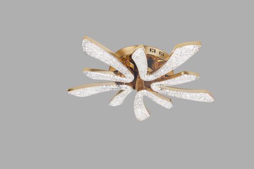 LED Ceiling light /Ceiling light/Bed room light