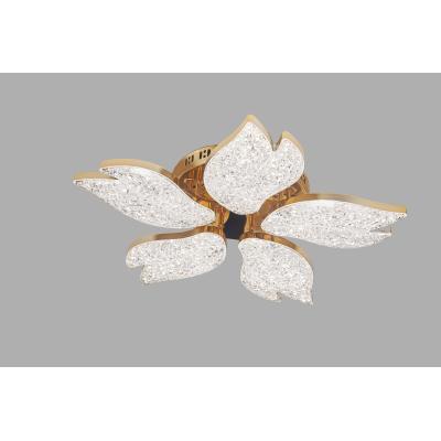 LED Ceiling light /Ceiling light/Bed room light