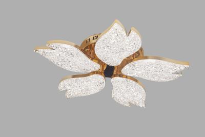 LED Ceiling light /Ceiling light/Bed room light