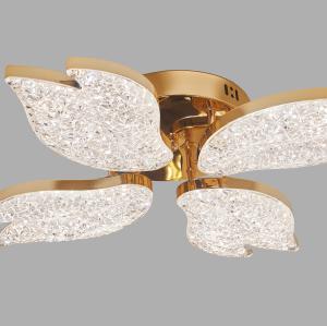 LED Ceiling light /Ceiling light/Bed room light