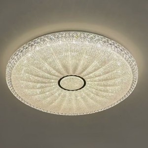 LED Ceiling light /Ceiling light/Bed room light