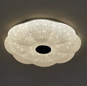 LED Ceiling light /Ceiling light/Bed room light