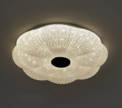 LED Ceiling light /Ceiling light/Bed room light