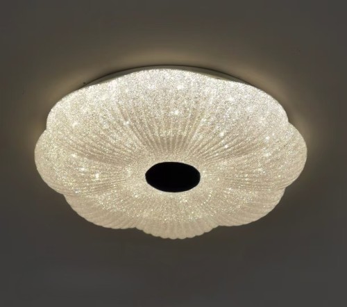 LED Ceiling light /Ceiling light/Bed room light