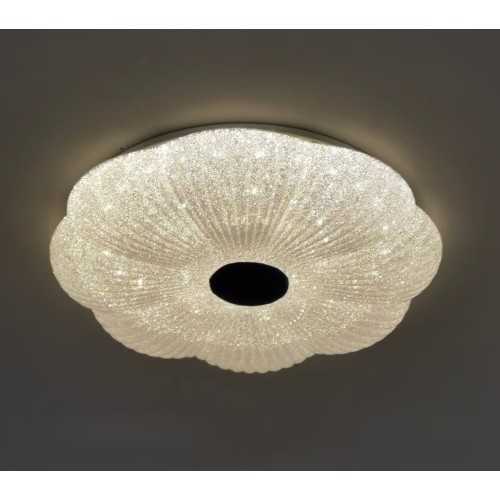 LED Ceiling light /Ceiling light/Bed room light
