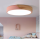 Round ceiling lamp with wood . 20W/28W/36W/48W