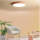 Macaroon ceiling lamp for living room