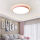 LED ceiling light for home