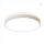 LED ceiling light for home