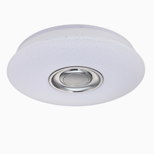 Led Ceiling light with bluetooth speaker