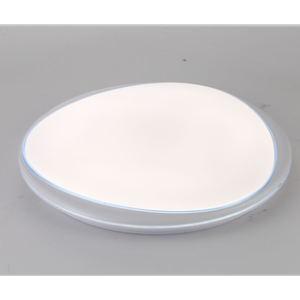 LED Ceiling light 18W 24W 36W new model