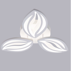 LED Ceiling light /Ceiling light/Bed room light